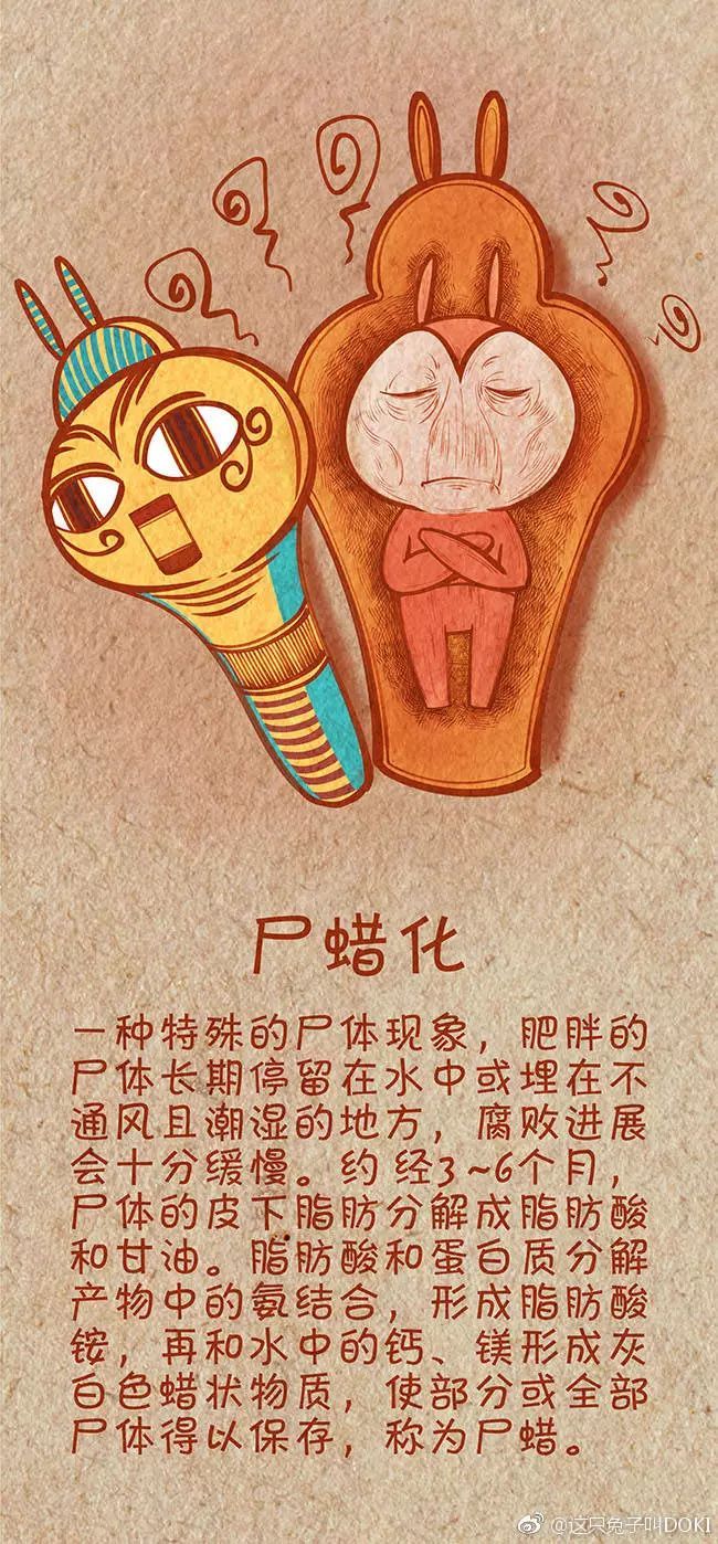 养鹅的养殖成本及利润分析_三亿体育(图2) 三亿体育