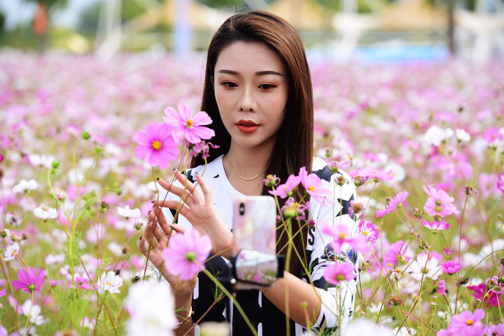 三亿体育官网:2014年木材市场分析和展望(图1) 三亿体育