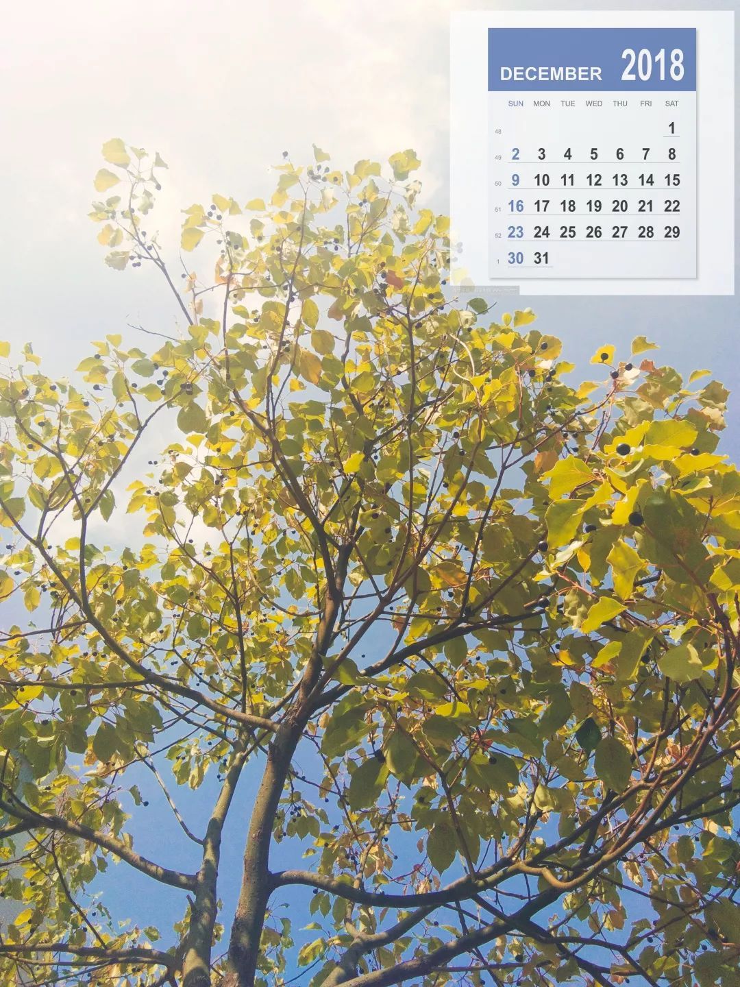 “三亿体育”美国政府又现泄密者泄露国家安全文件 涉恐怖分子信息(图3) 三亿体育手机版