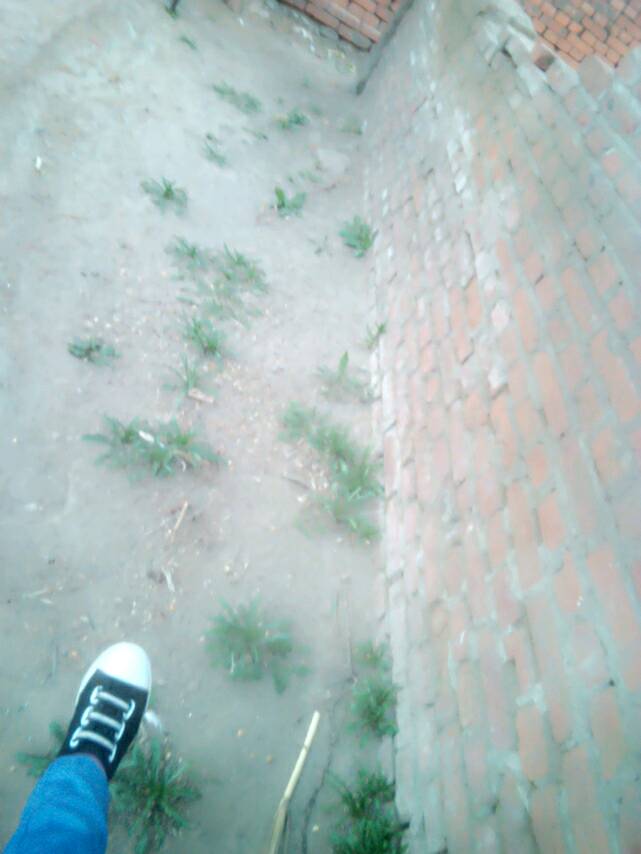 “三亿体育官网”海关将加大对美国进口木材检疫(图3) 三亿体育手机版