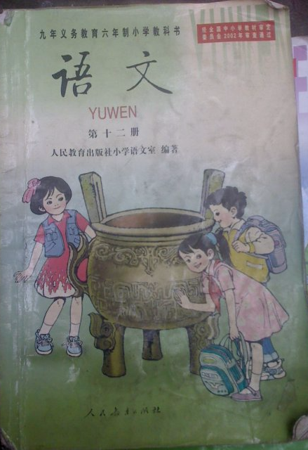 杏子价格多少钱一斤？最新杏子收购价格及行情【三亿体育手机版】