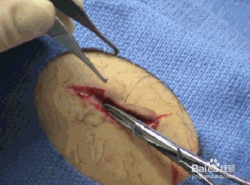 三亿体育官网:日质疑南京大屠杀档案申遗:教科文组织制度需改(图3) 三亿体育官网