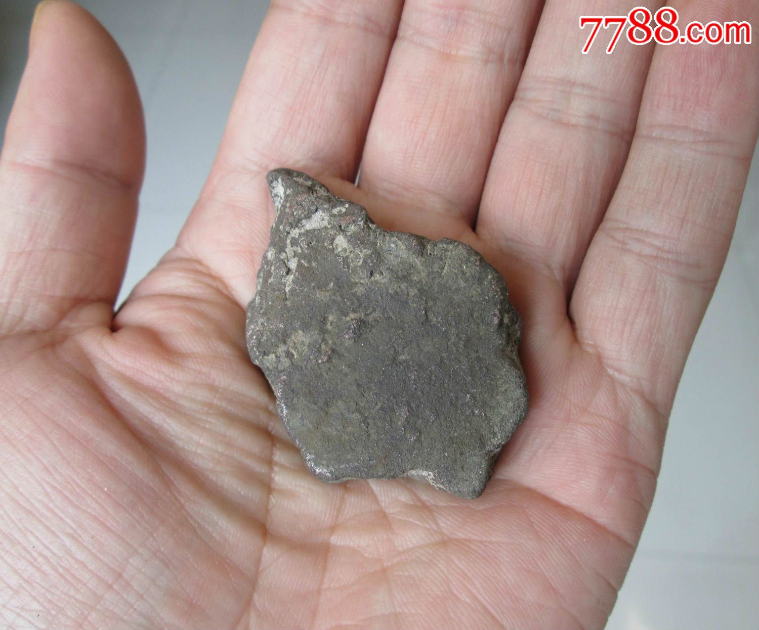 “三亿体育手机版”今日苹果多少钱一斤？2