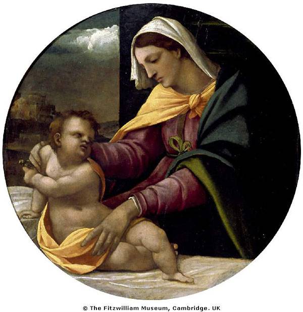 8月9日茄子主产区收购价格及行情分析【三亿体育手机版】(图1) 三亿体育官网