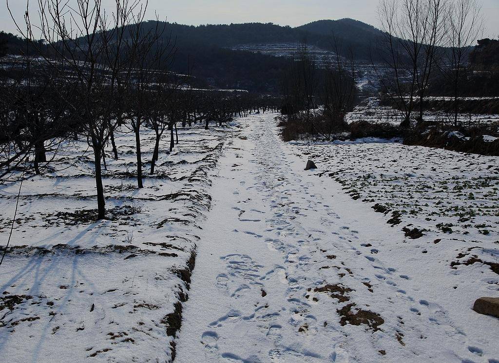 三亿体育官网-
拉尼娜来袭 今年冬天有多冷？官方解答来了：要做好农业防寒措施(图1)