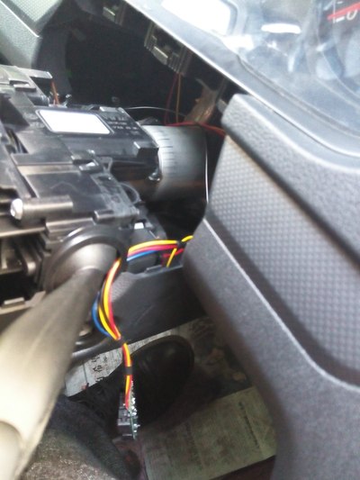 蝉蛹哪里有卖？怎么挑选？‘三亿体育’