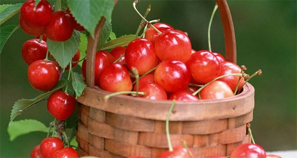 家具行业人才是这样炼成的——“培”和“养”|三亿体育手机版