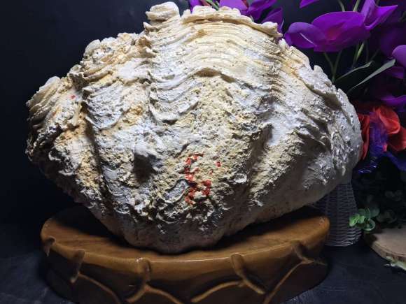 三亿体育手机版