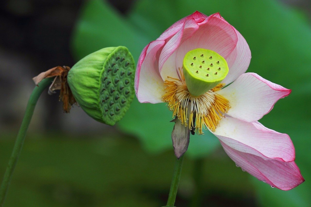 三亿体育官网:云南木制家具甲醛超标严重(图2) 三亿体育