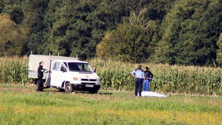 所罗门材市场交易不理想“三亿体育官网”(图4) 三亿体育手机版