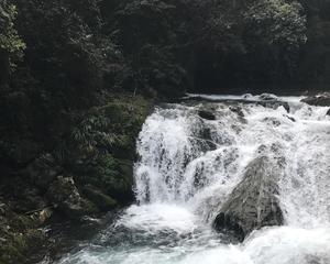 “三亿体育官网”黑客称美国NASA将公布发现外星人图 部分派飞船到地球(图1) 三亿体育