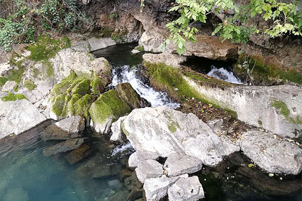 河北将与加拿大合作推广现代木结构建筑技术:三亿体育官网(图1) 三亿体育官网