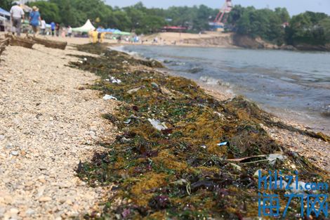 三亿体育-希腊多数民众对2016年经济前景悲观 今年经济零增长(图1) 三亿体育官网