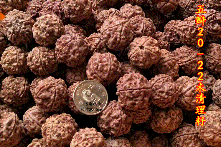 三亿体育手机版