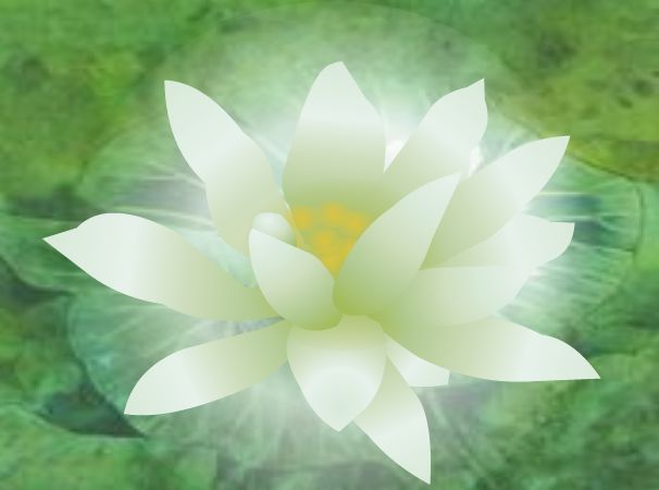 三亿体育官网